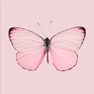 trade for olivia 💕